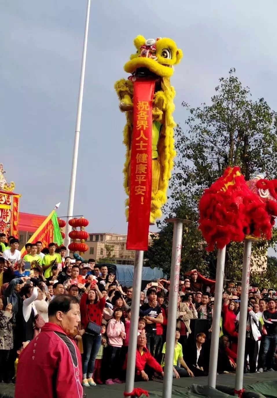 擺出各種造型.除了舞龍外還有醒獅表演.舞獅跳火圈表演.