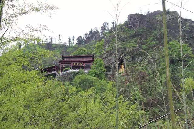 29一天登高大乘山祈福保平安99元每逢春节胖三斤爬山出汗消余脂