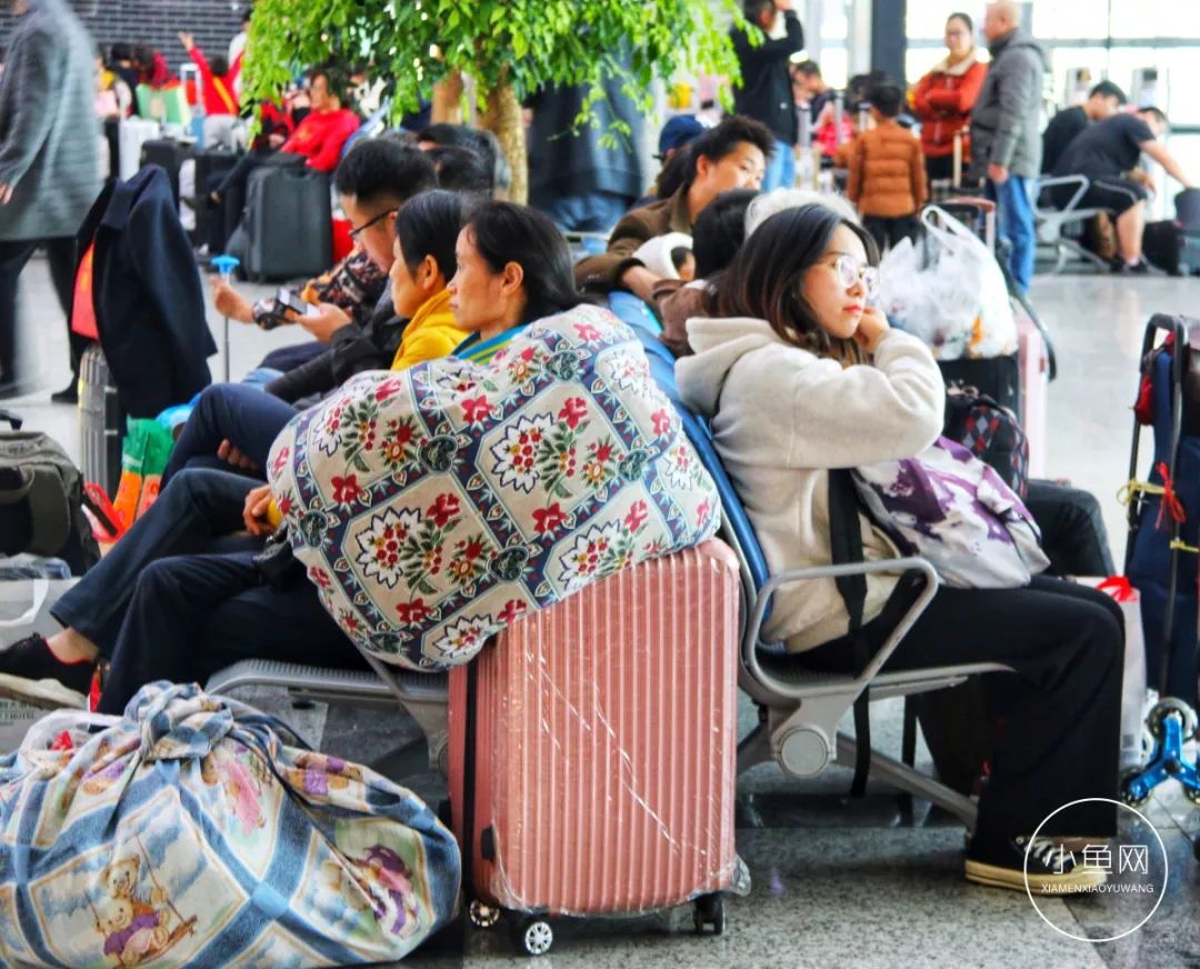 厦门火车站春运照火遍朋友圈30万人泪奔行李箱里装的都是沉甸甸的爱