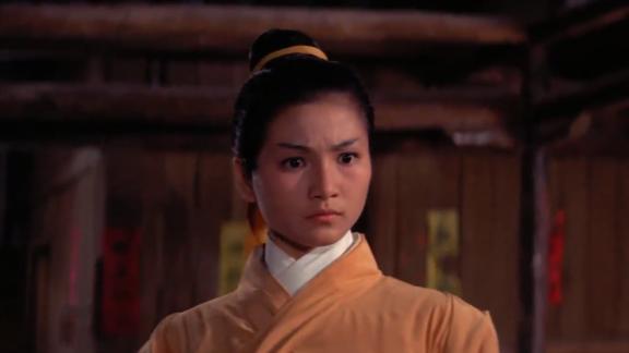 金燕子金燕子到达客栈金龙会的人来报仇总舵主和金燕子交手