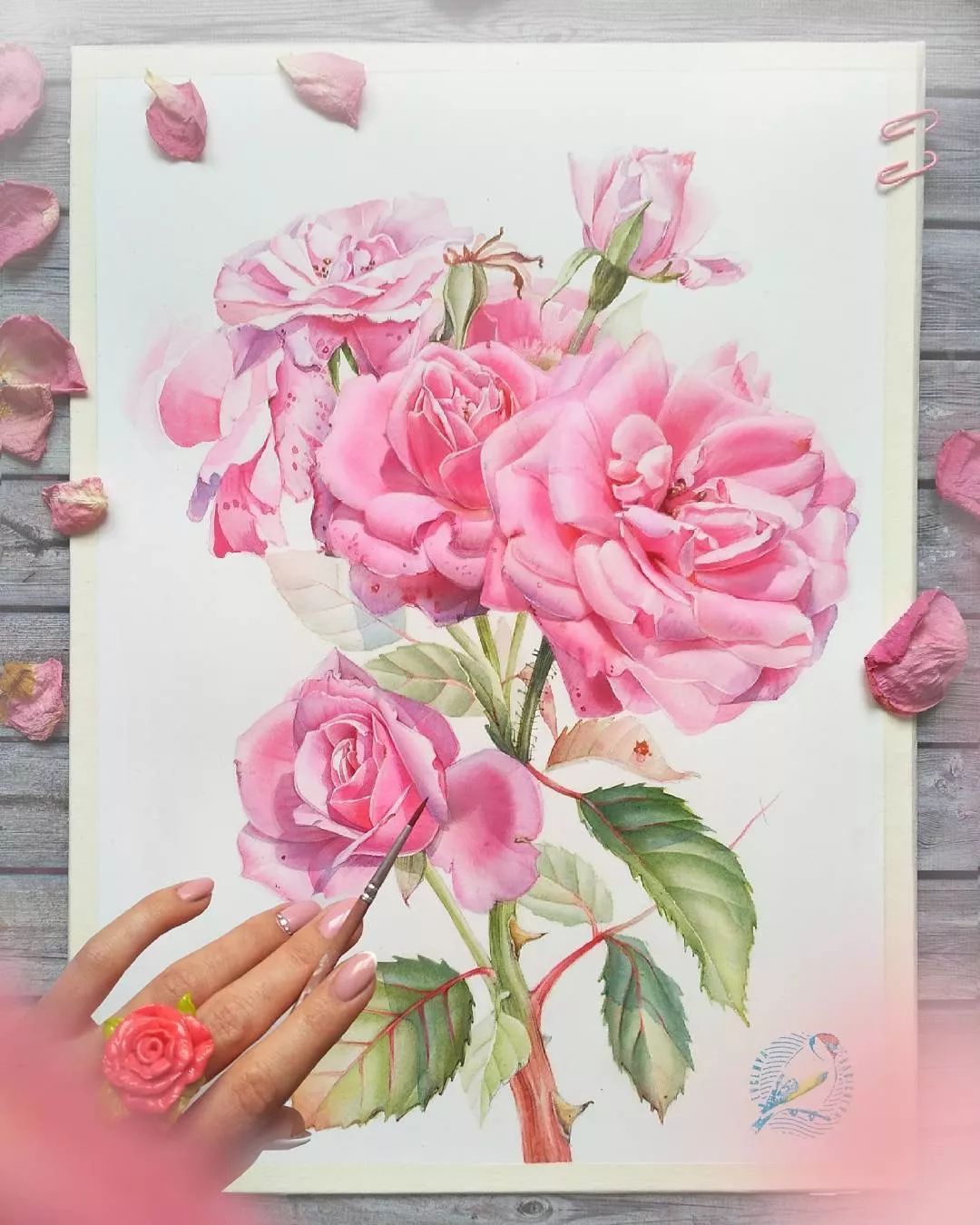 水彩花卉仿佛闻到了花香