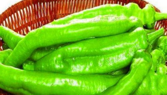 冬天女性可以坚持吃4种食物,排出毒素,净化血液,滋养女性子宫_佛手瓜