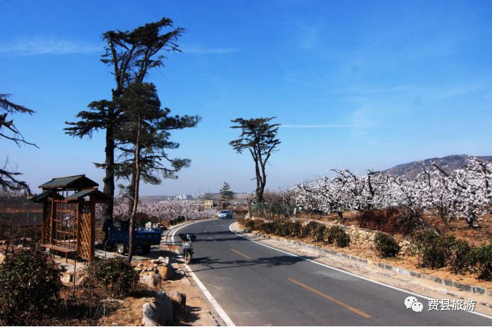 齐鲁美丽田园—费县大田庄乡果香慢谷