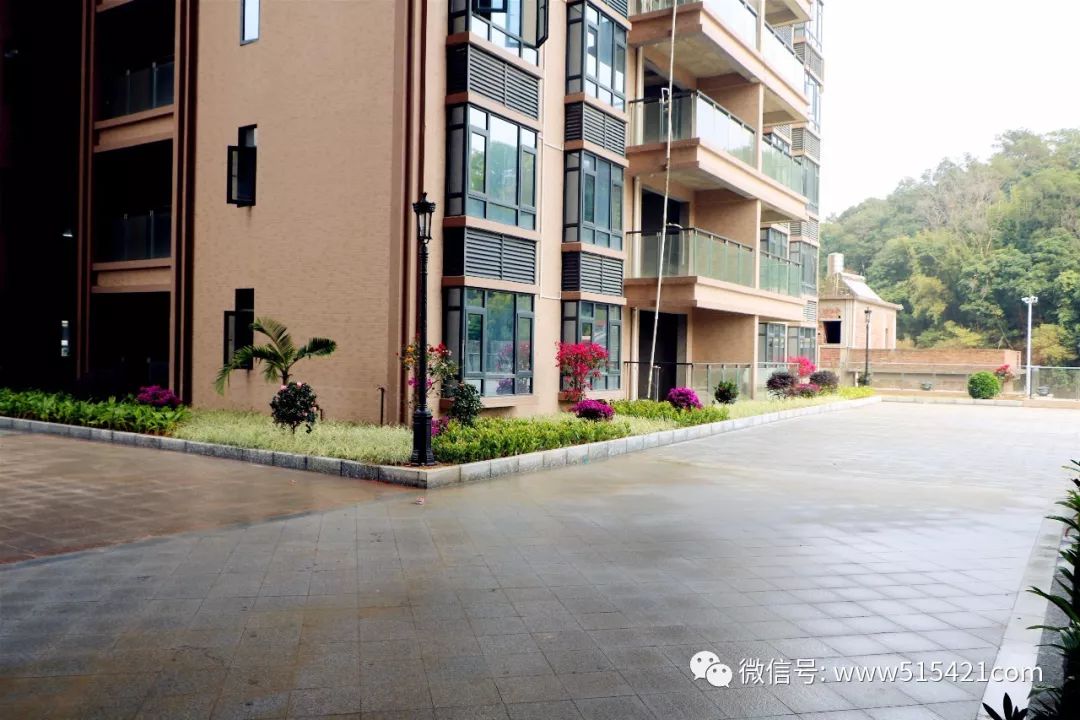 2020上砂崛起一座城