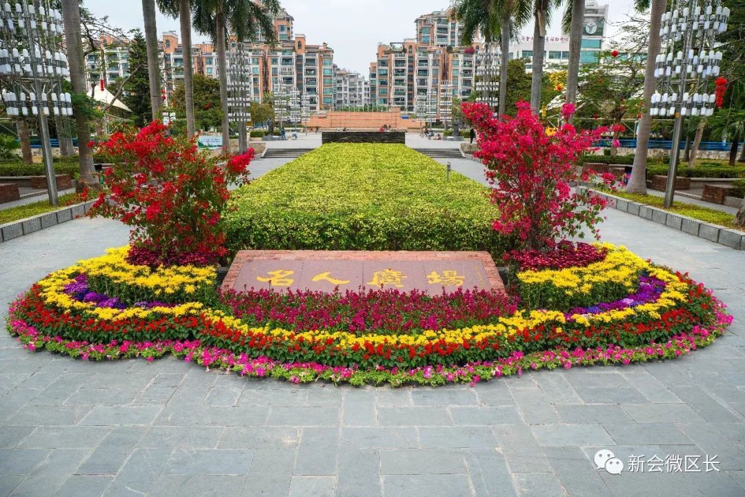 【城市提质】新会扮靓靓过大年,城区处处都是"打卡"点!_花坛