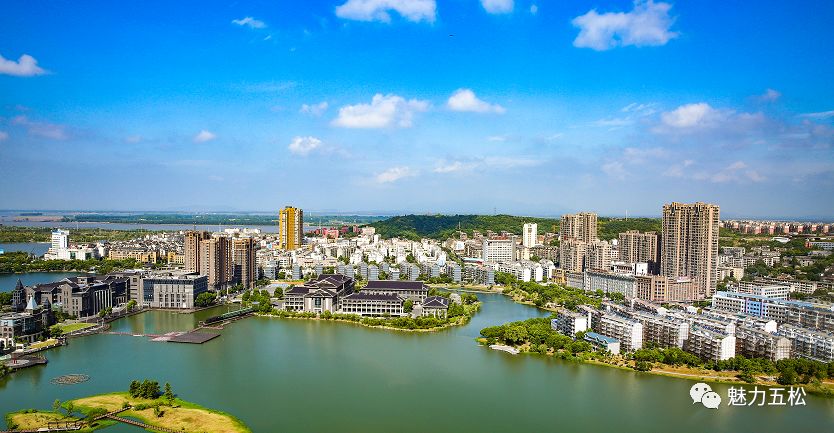 五松镇给您拜年啦!