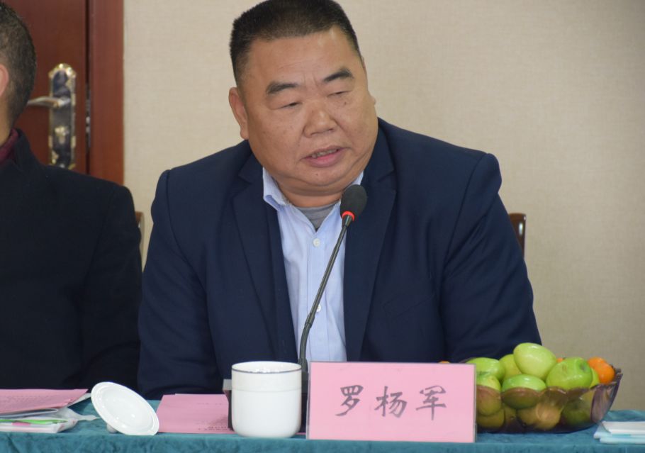 朱沱镇党委书记冯昭华讲话朱沱镇党委书记冯昭华介绍了