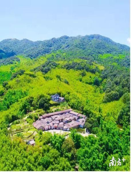 阳江这四个"广东省森林小镇",你去过吗?快来打卡!