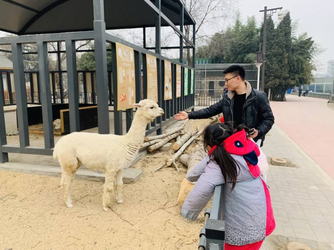 开封汴京公园动物园图片