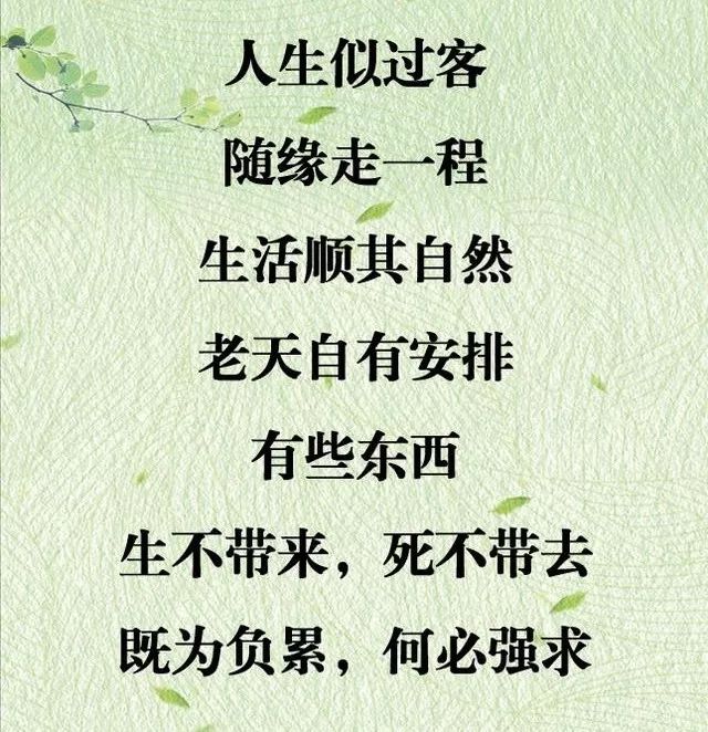 人生似过客,随缘走一程.