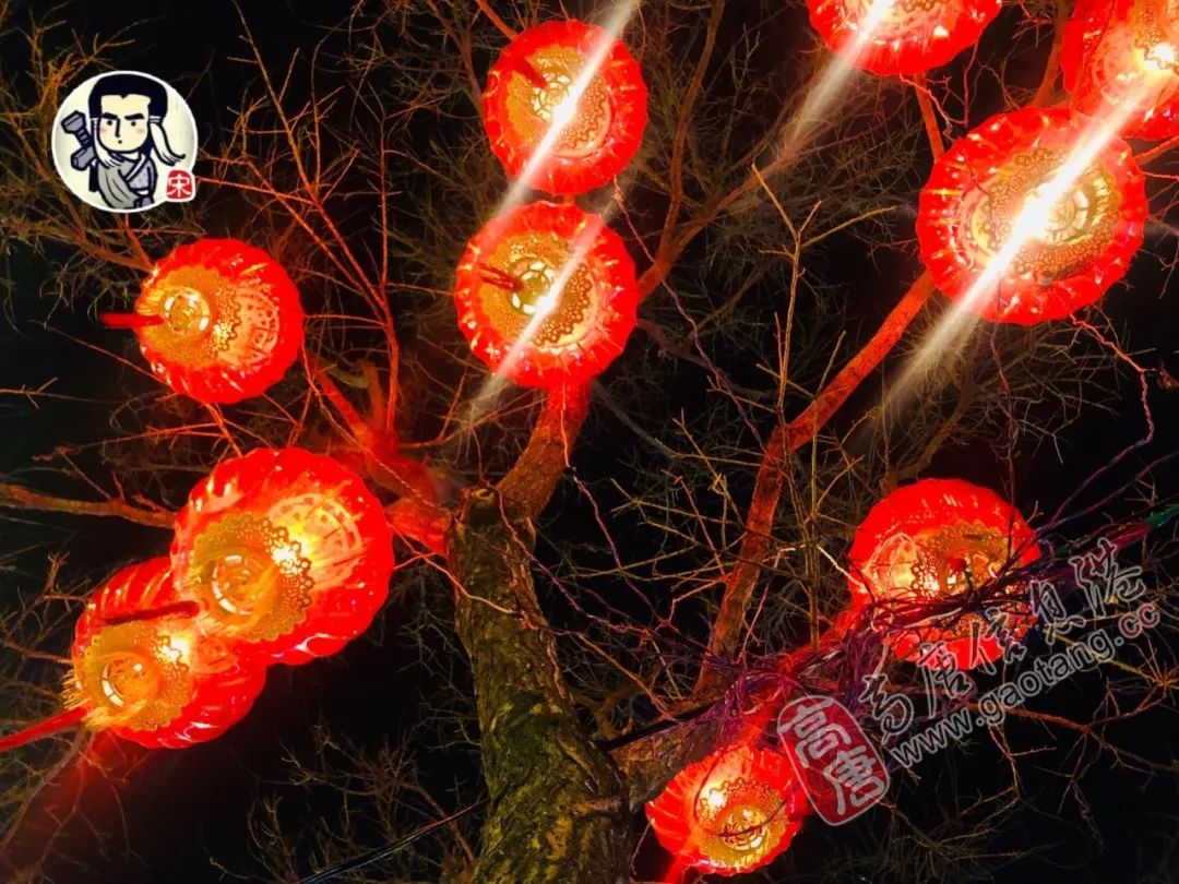 挂彩灯亮夜景高唐城区街头年味浓