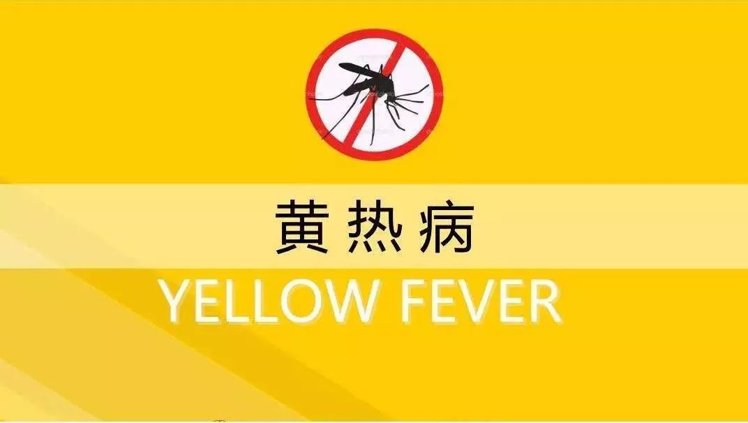 春节归国出入境健康提示——劳务篇_黄热病