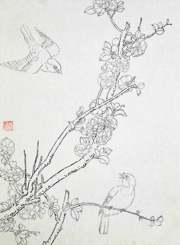 经典花鸟白描图谱收藏