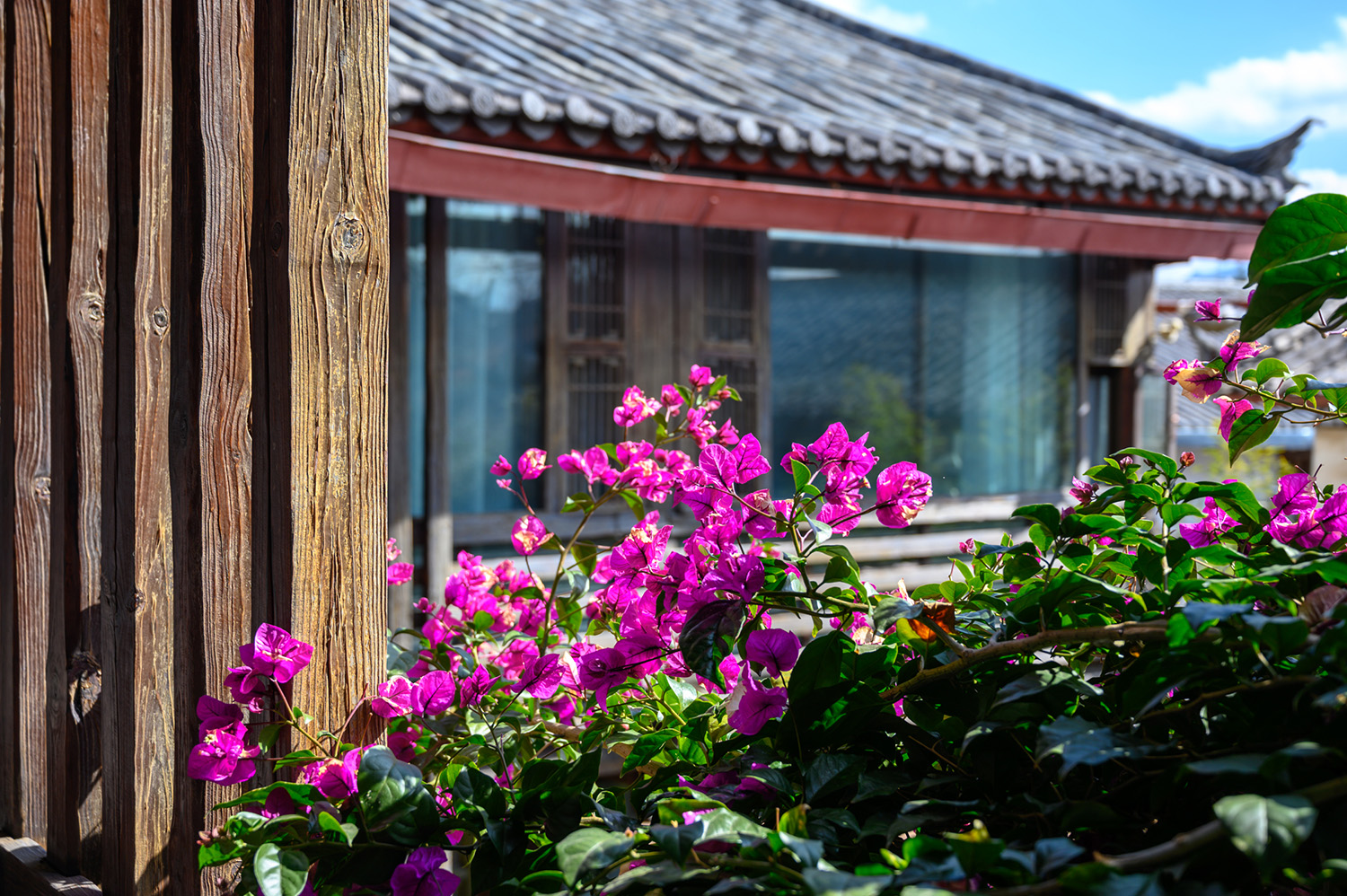 云南丽江最美民宿之一,躺在床上就可以看到玉龙雪山,性价比超高