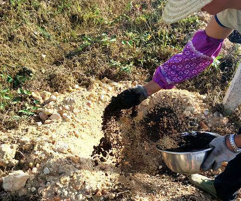 土肥错过施肥最佳时间来年春天再施行不行