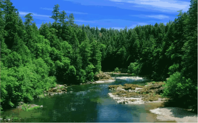 晨曲丨清心,自然,天籁之音