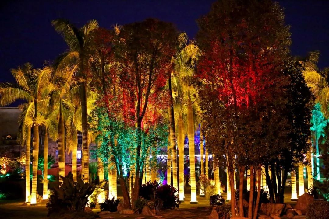 玄武山焕然一新,喜气洋洋,张灯结彩迎新春!