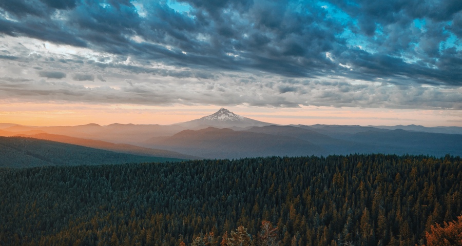 下跌通道中家电业的突破口和增长点-家电圈官网