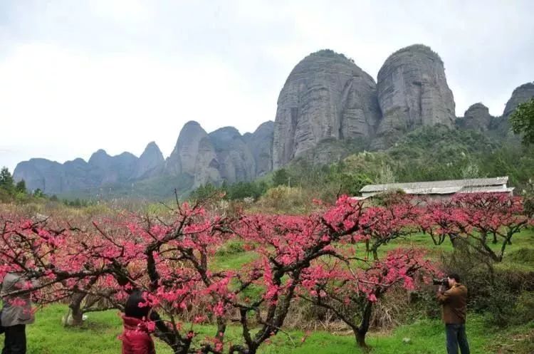 河源桃花源景点介绍图片