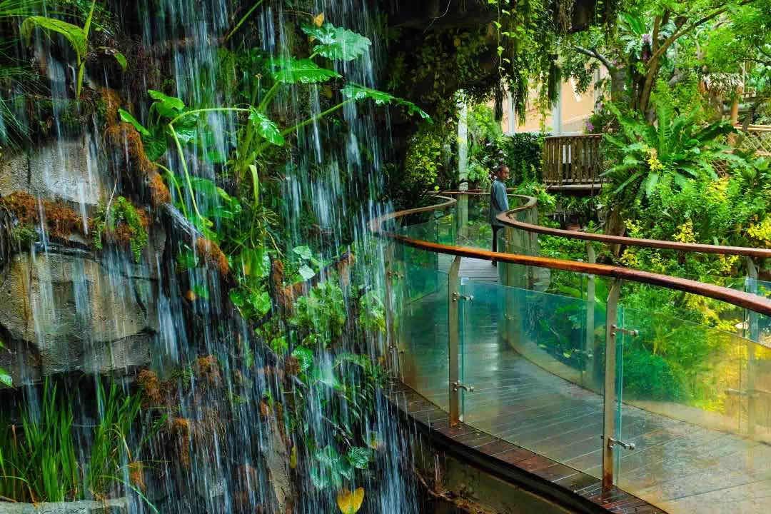 广州热带雨林生态植物园必打卡的地方,喜爱汉服的你请戳这里