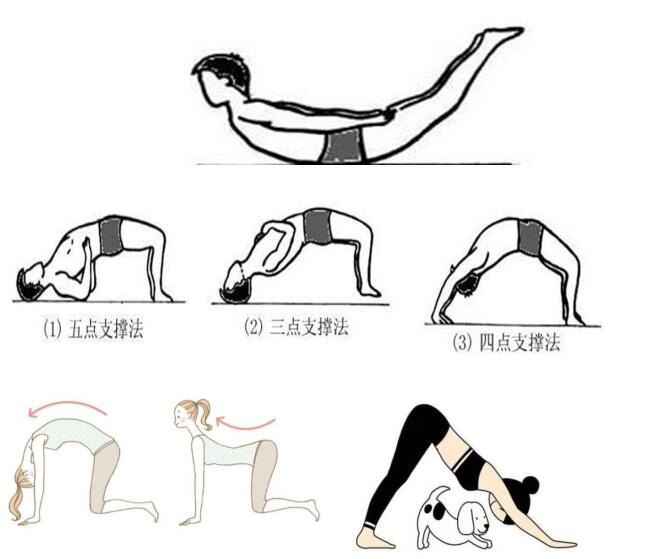 健康讲堂头痛腰痛腿痛专家有妙招