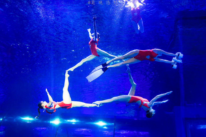 除了美人鱼,还有身装红色泳衣的水中精灵,这真的是把年味都渗透到深海