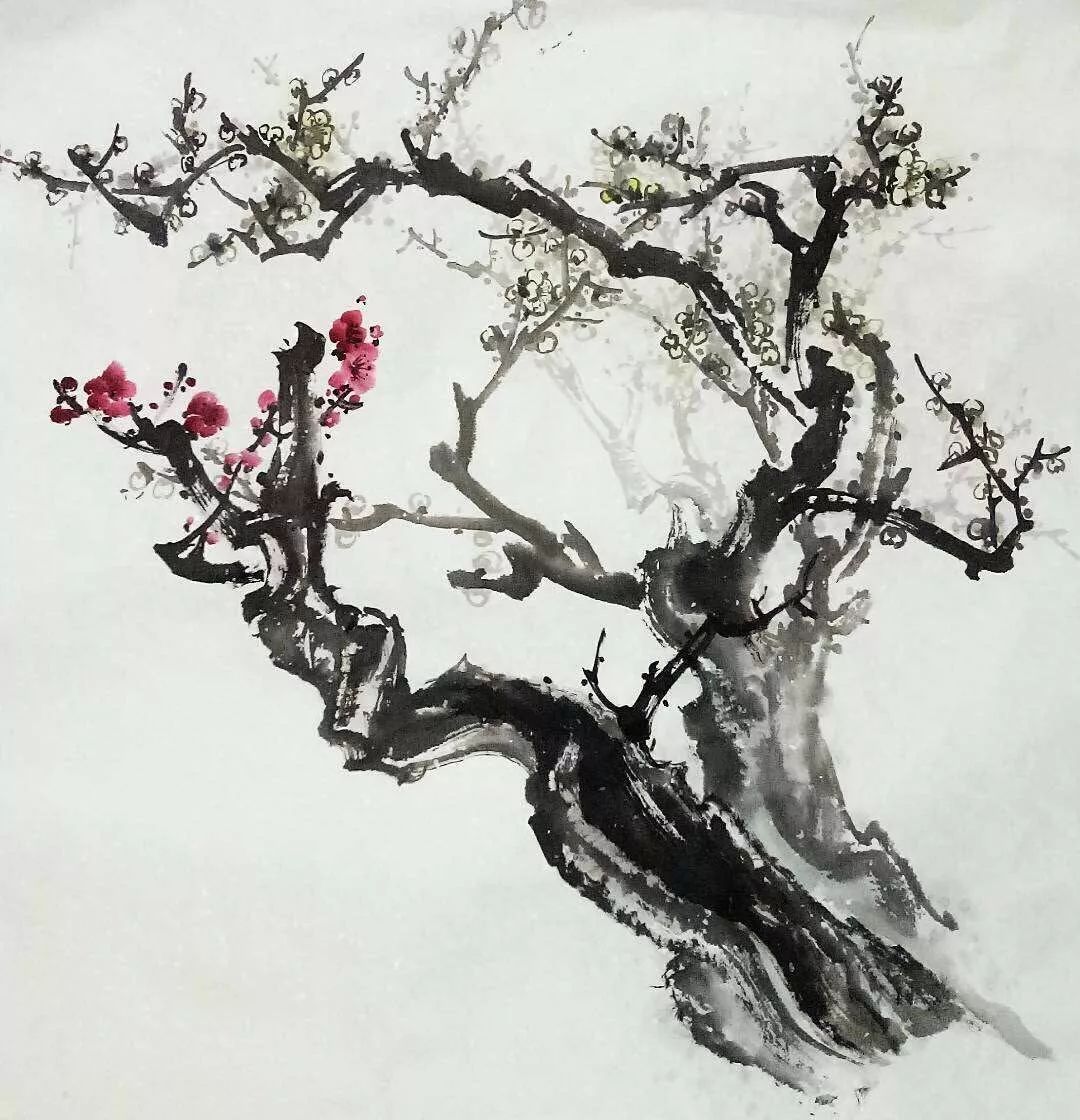 灵峰探梅花事活动之梅花盆景赏析