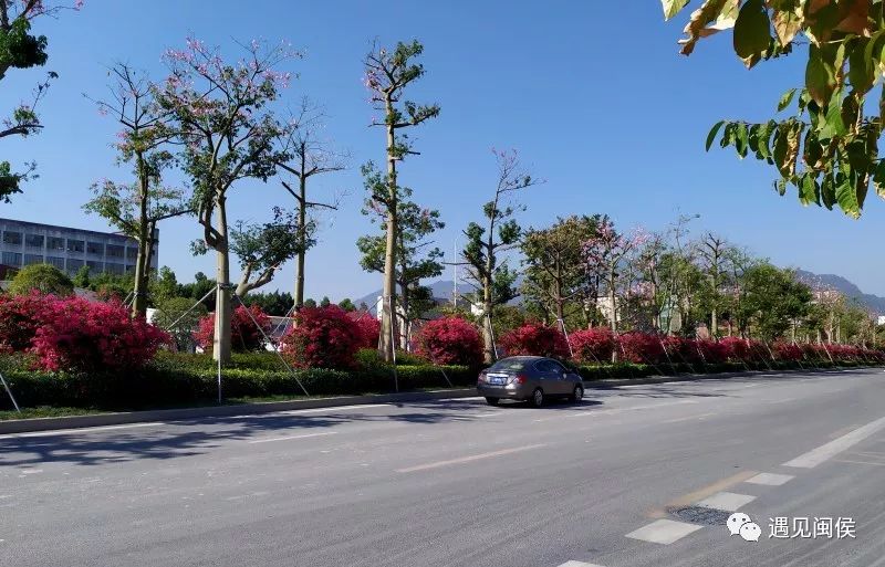 闽侯上街最美线路刷新颜值迎新春