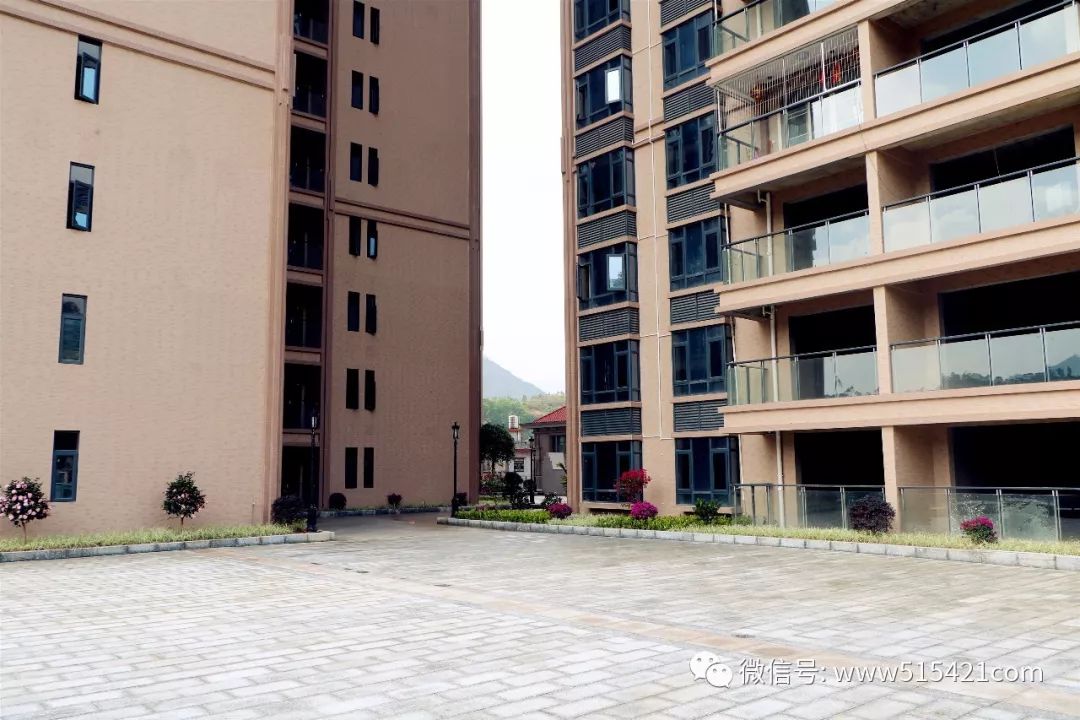 2020上砂崛起一座城