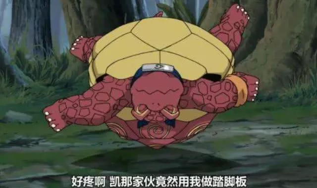 凯的慢慢吞吞忍龟很多人认为凯没有通灵兽,其实凯是有通灵兽的只不过