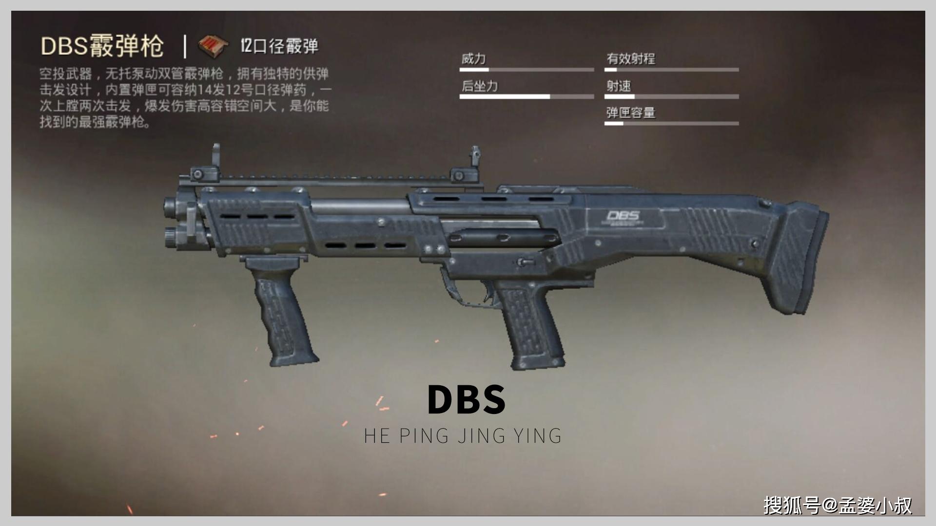 dbs霰弹枪空投图片