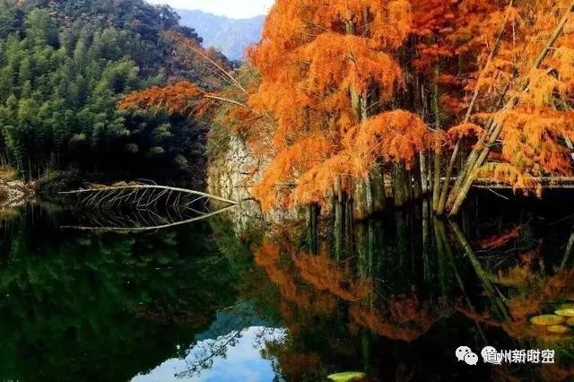 陽明山國家森林公園九嶷山國家森林公園,位於湖南省南部永州市寧遠縣