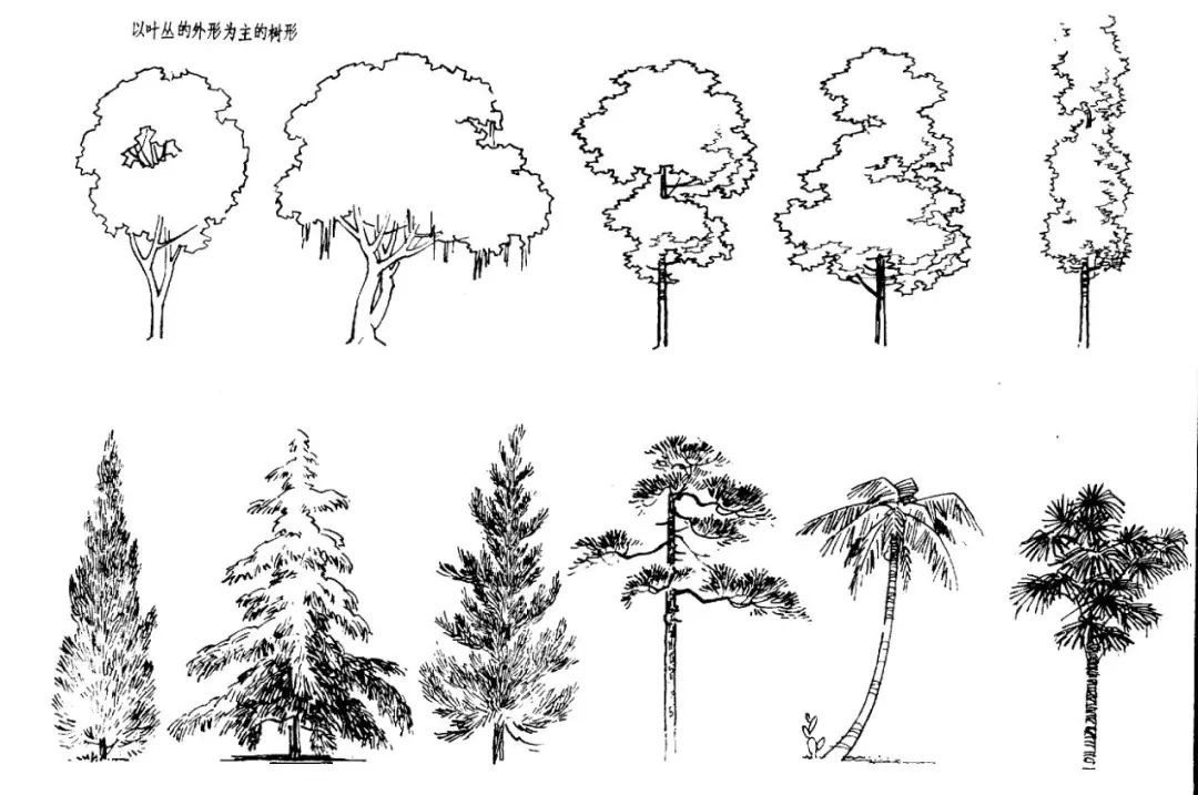 练完这些植物手绘麻麻再也不用担心我画不好风景手绘啦