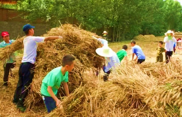 东北风情:五谷丰登的盛宴——打谷场_农村