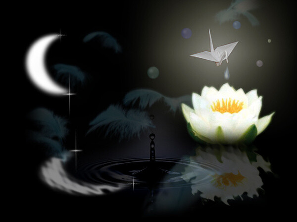 星连文学社广东诗人星连满园春未尽侠骨已生怜