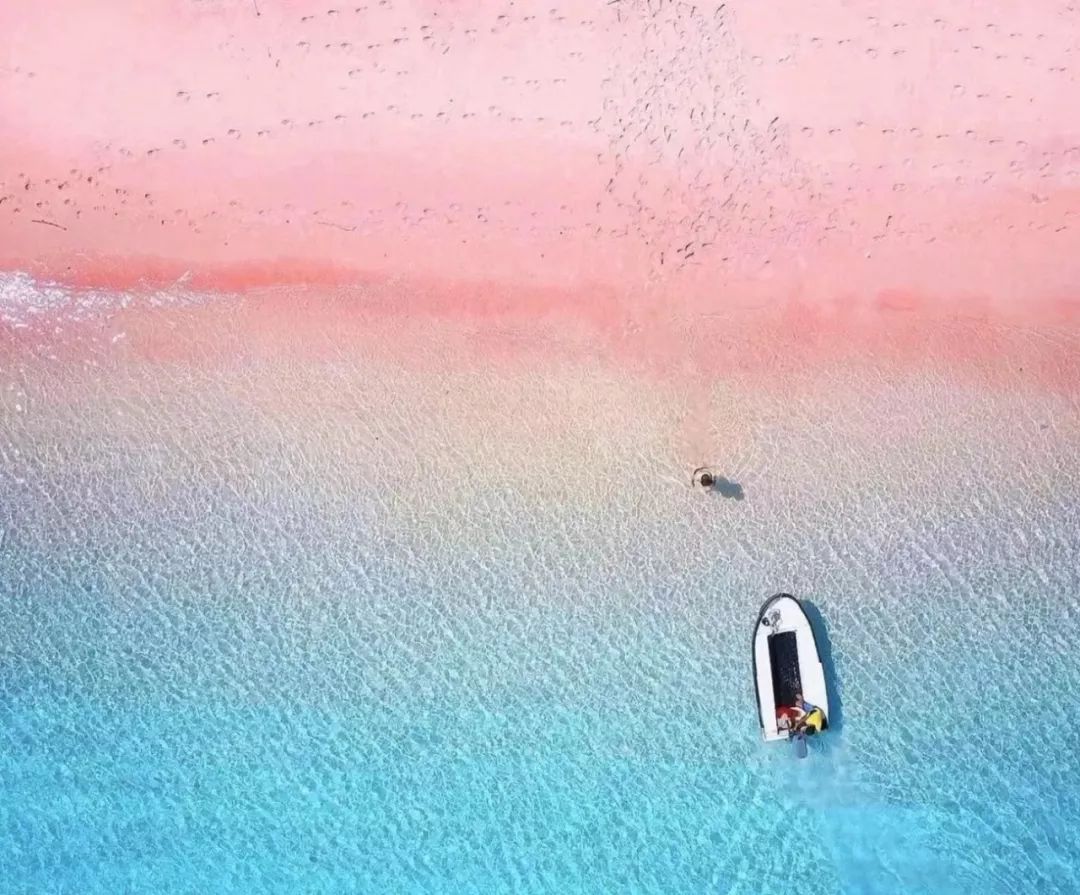 全球十大最美粉色沙滩之一pink beach(印尼)5临安是一条座落山中有数