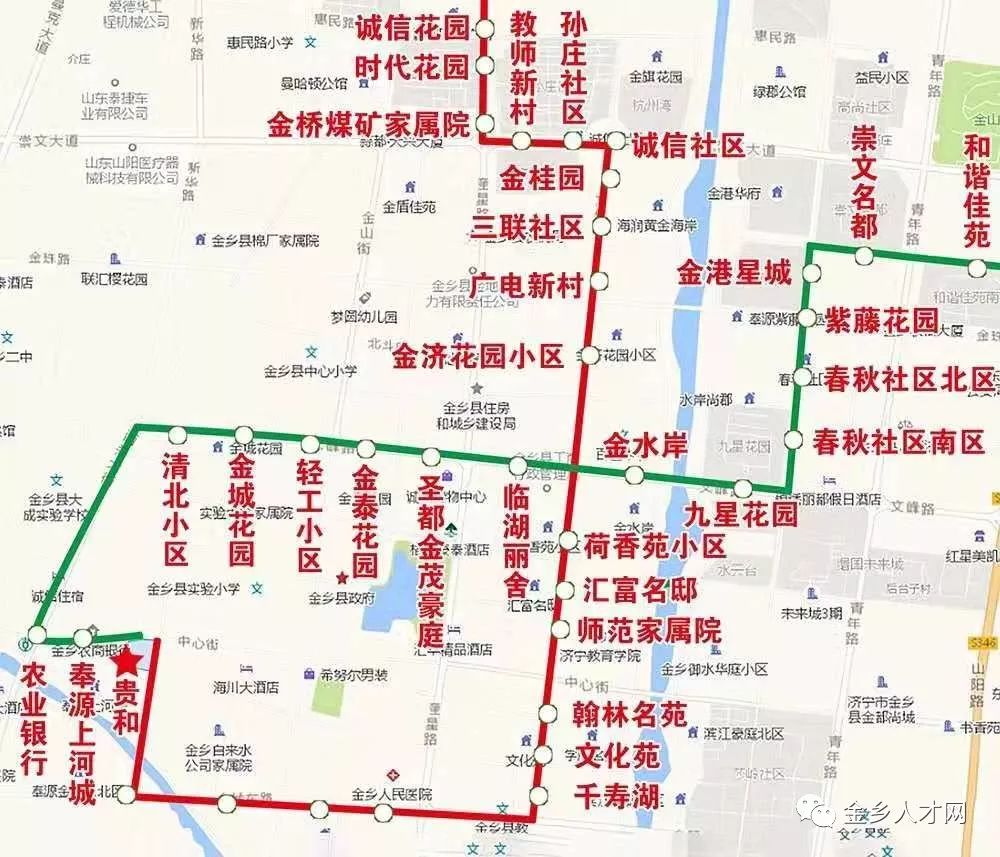 金乡街道社区划分地图图片