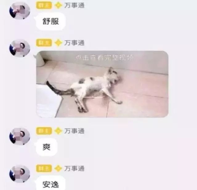 从虐猫到杀人碎尸,这部真实事件让人后背发凉_卢卡