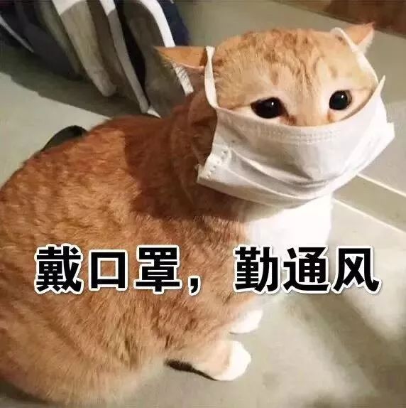 小可爱们看爱猫头像都带上口罩了,所以出门一定要带口罩噢!