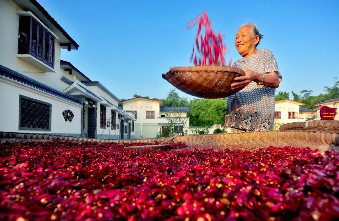 原创寻找邻水最美乡镇石滓镇