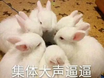表情包丨我告诉自己再熬一熬