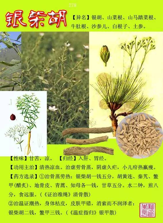 300种常见中草药图谱含别名性味归经以及功能主治