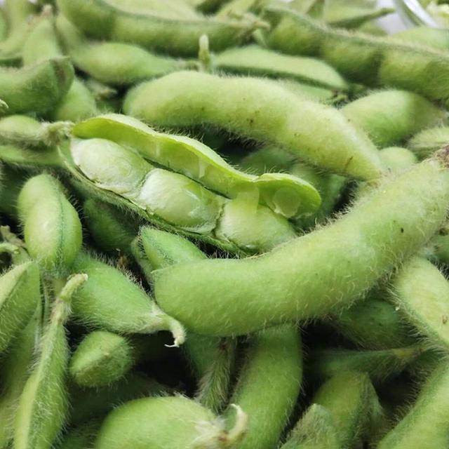 毛豆好品种早熟高产抗病抗倒伏三粒荚居多