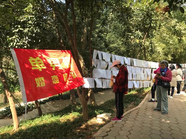 乐居大湾区|探访天河公园相亲角:双方都得有房!还得学历相当!不然