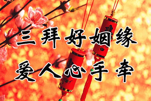 今日除夕给您拜个早年愿您鼠年春节快乐鼠你有财