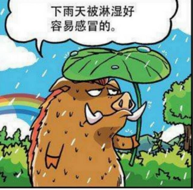 小野猪被雨淋湿呆头好心帮它烘干身体没想到呆头还是另有所图