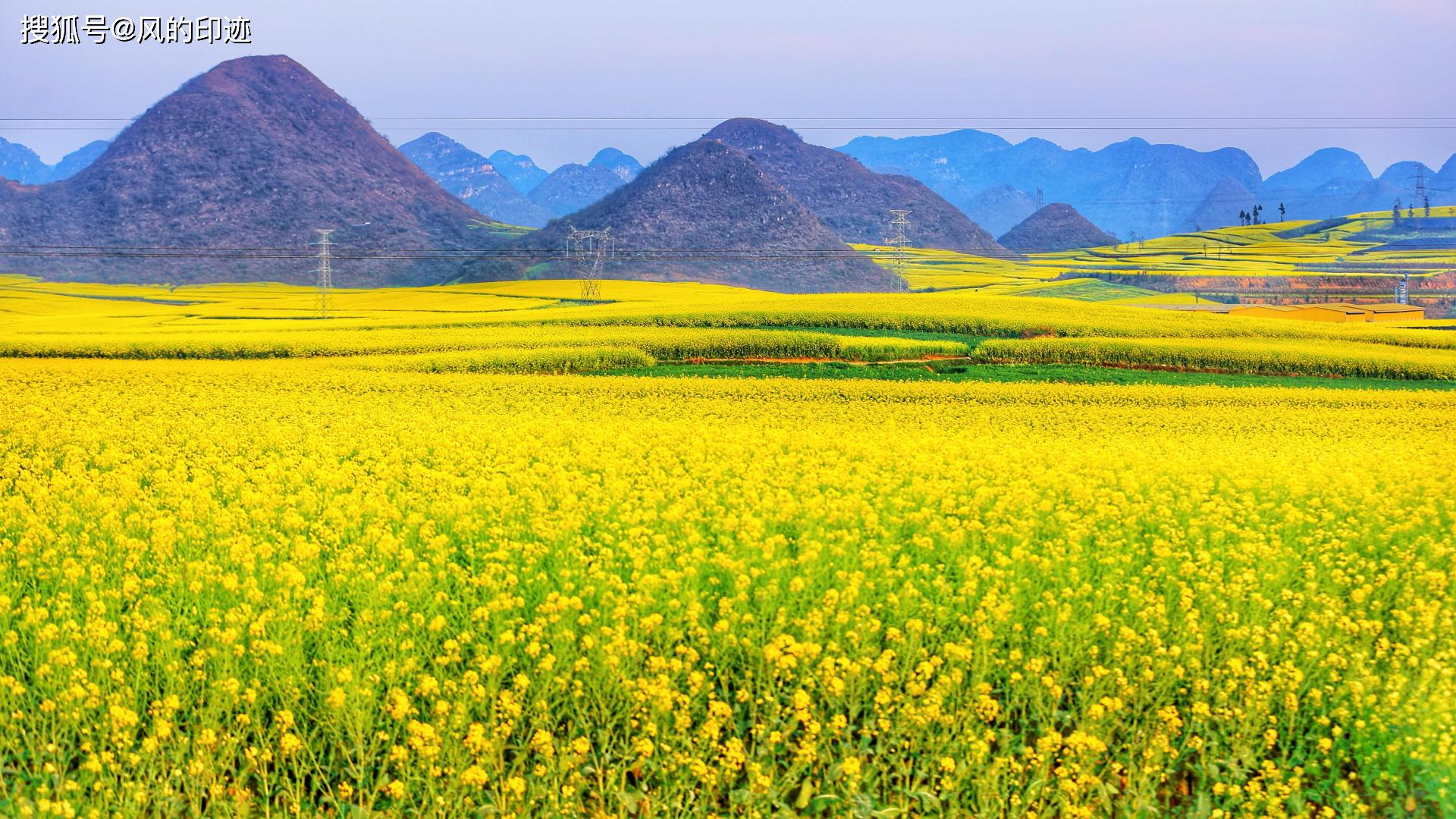 鼠年迎春踏青游云南,去看庆余年的罗平油菜花海,约会范闲和婉儿