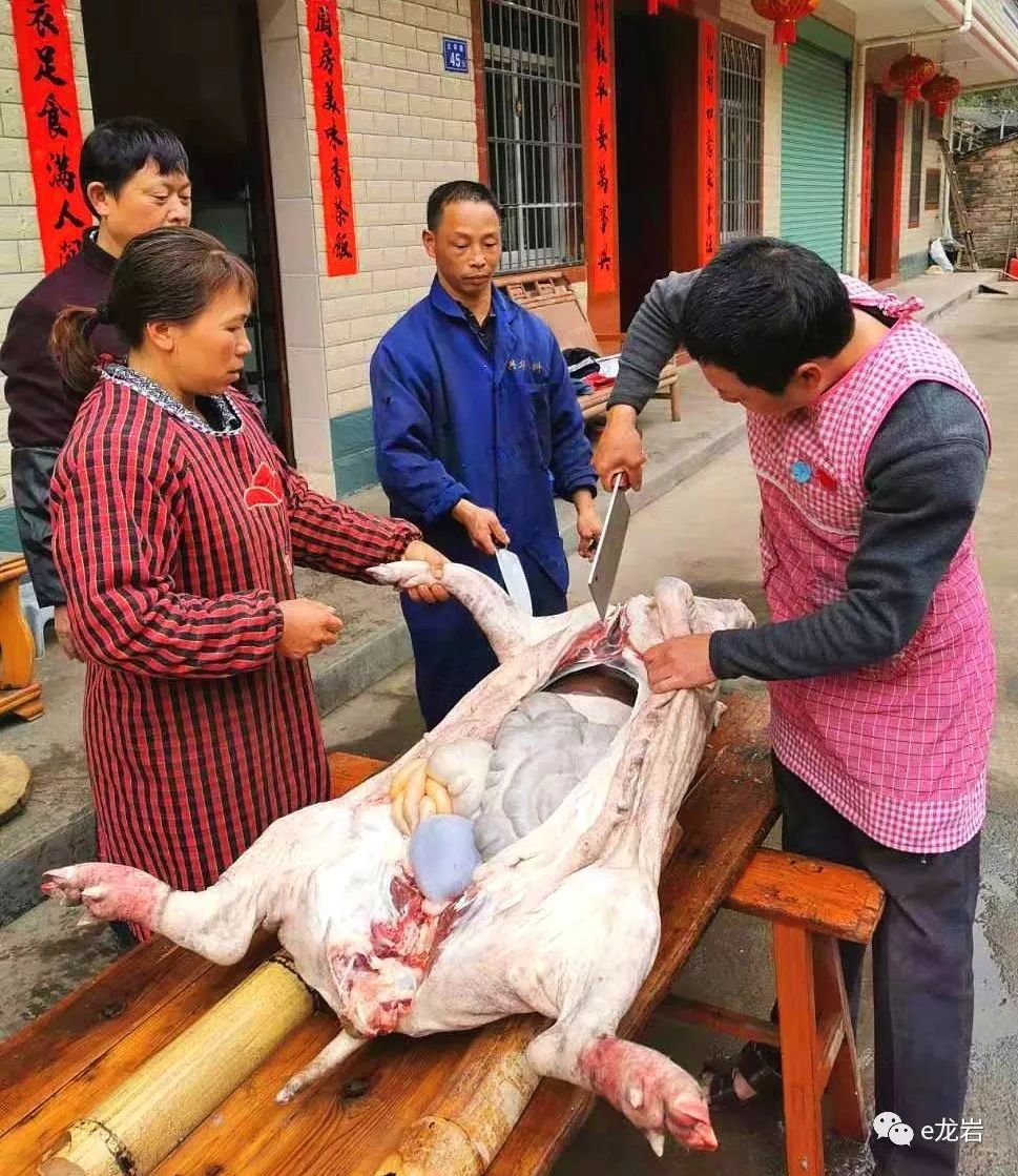 杀年猪送温暖龙岩这个畲族山村这样喜迎新春