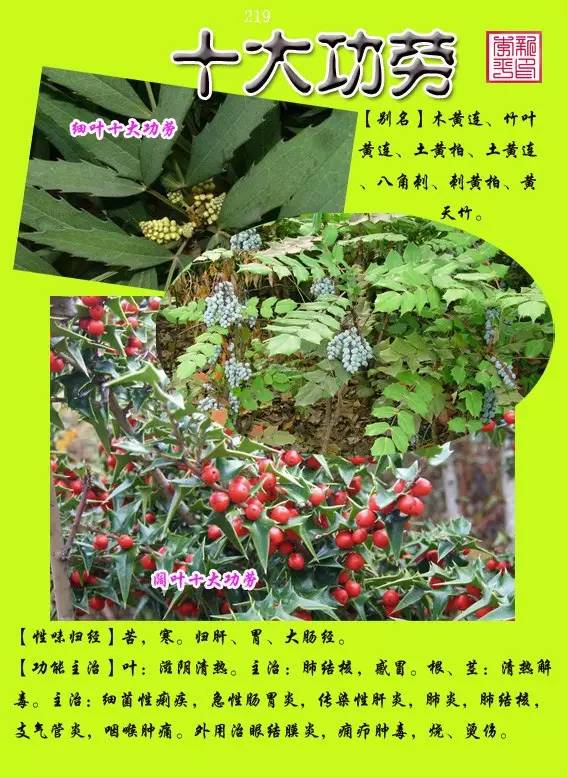 300种常见中草药图谱含别名性味归经以及功能主治