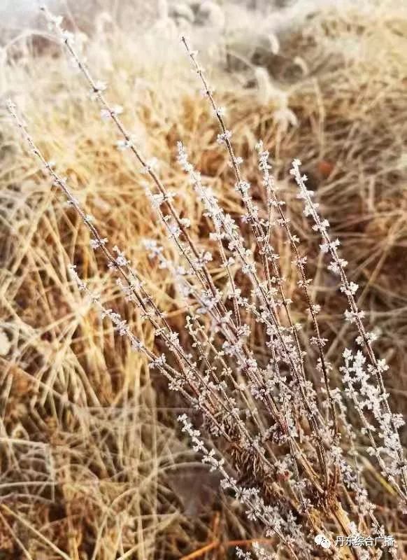 今天夜间到明天白天,晴,北风3到4级转2到3级.